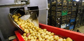 NSK drievoudige lipafdichting biedt ultieme lagerbescherming